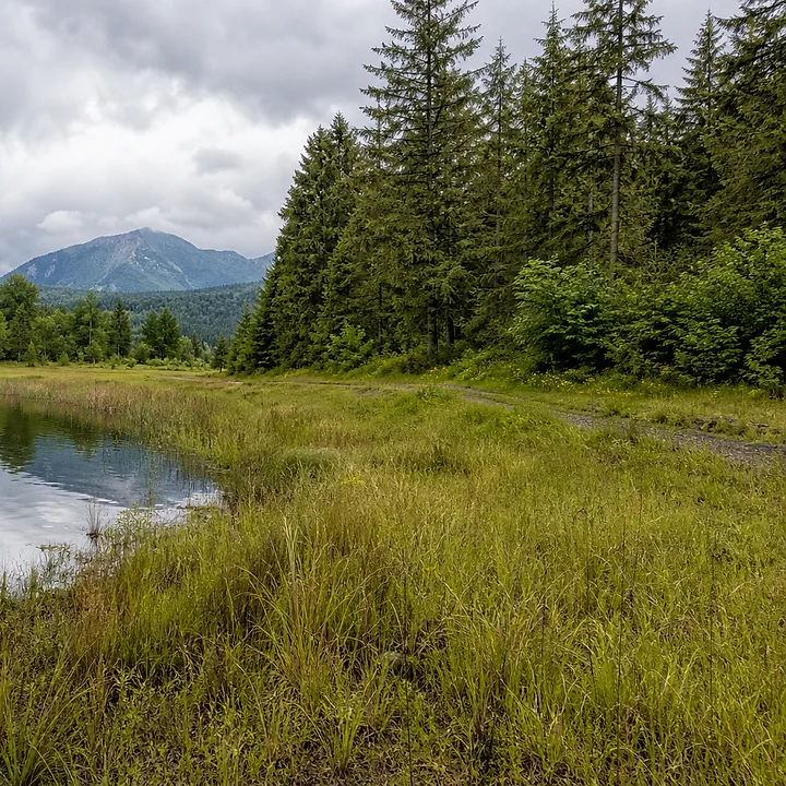 Lake area and mountain land in Clark County