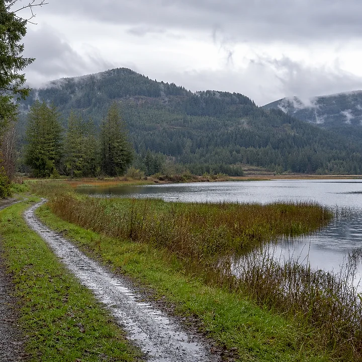 Lake area and mountain land in Seattle