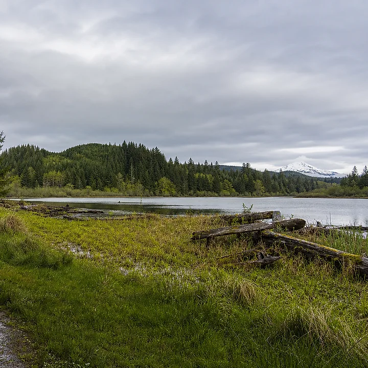 Lake area and mountain land in Tacoma