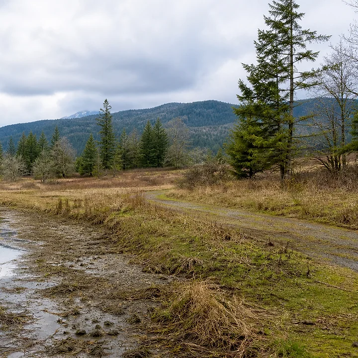 Lake area and mountain land in Vancouver