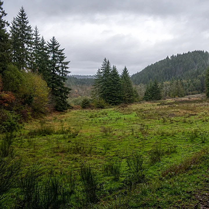 Rural acreage in Bremerton