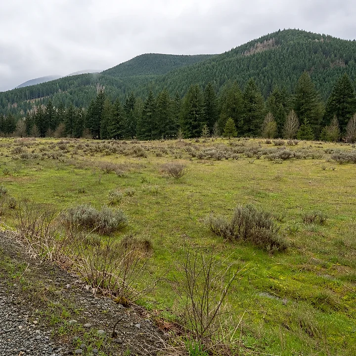 Rural acreage in Clark County