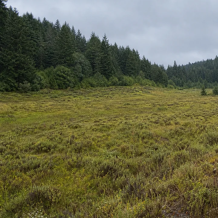 Rural acreage in Everett