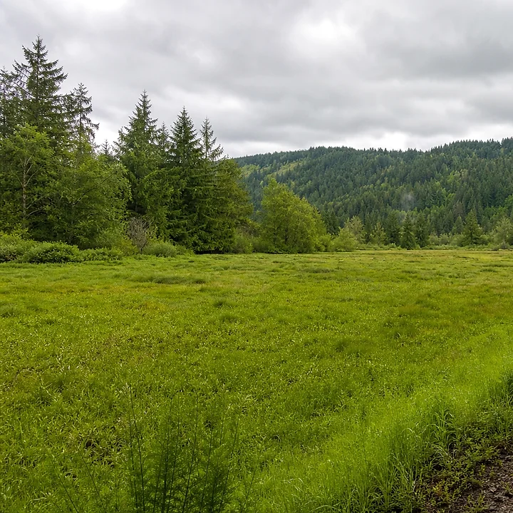 Rural acreage in King County
