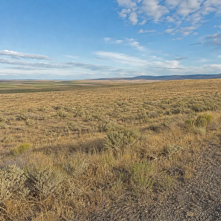 Rural acreage in Moses Lake