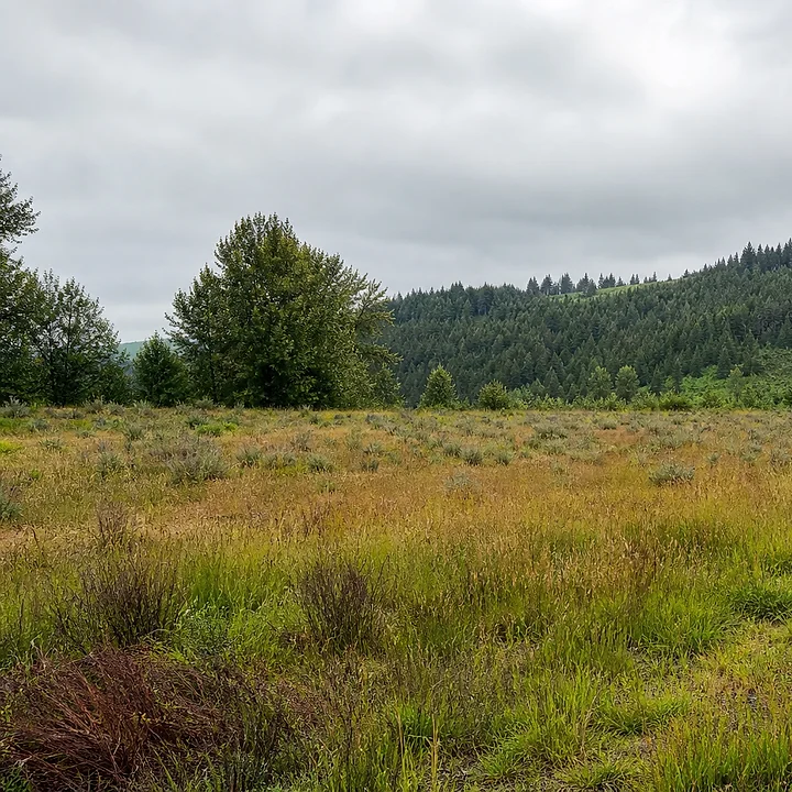 Rural acreage in Mount Vernon