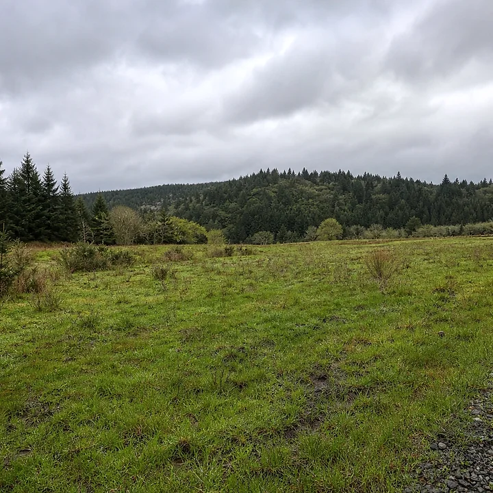 Rural acreage in Olympia