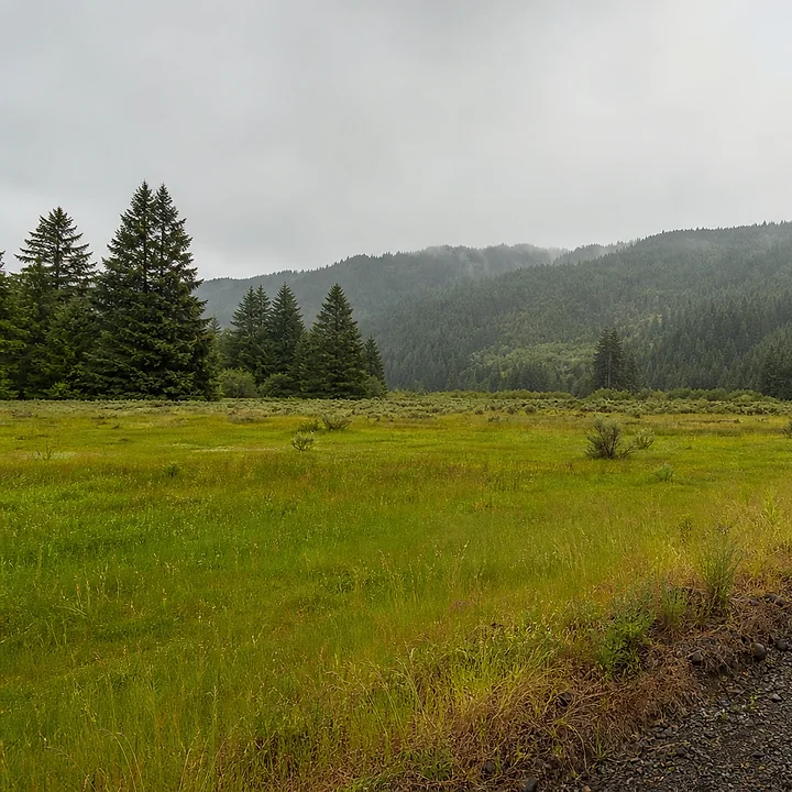 Rural acreage in Pierce County