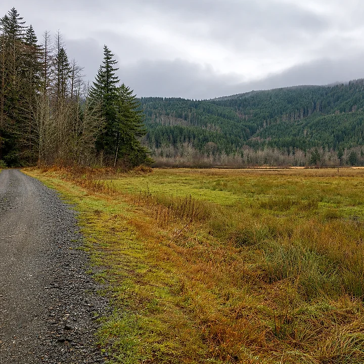 Rural acreage in Skagit County