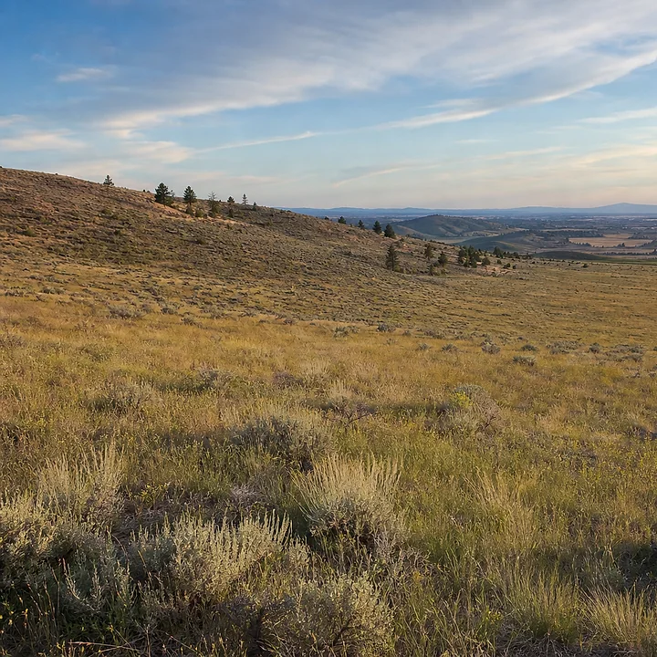 Rural acreage in Spokane
