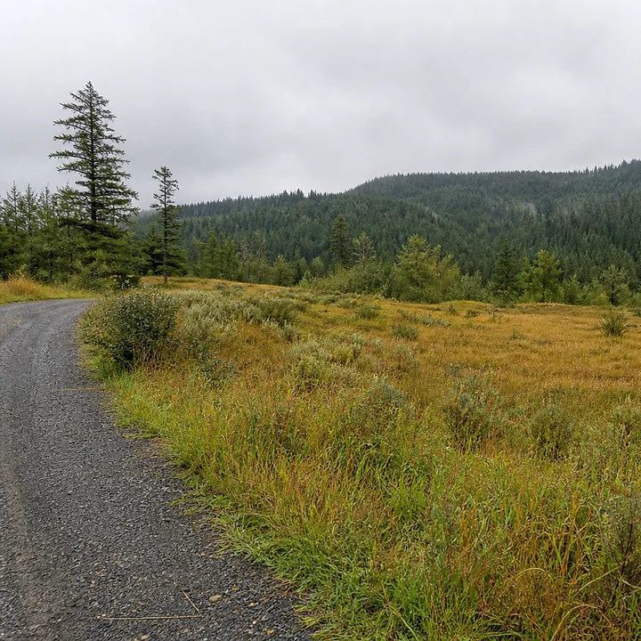 Rural acreage in Tacoma