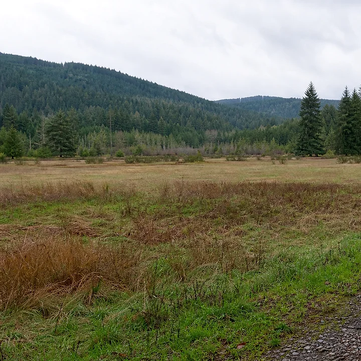 Rural acreage in Thurston County