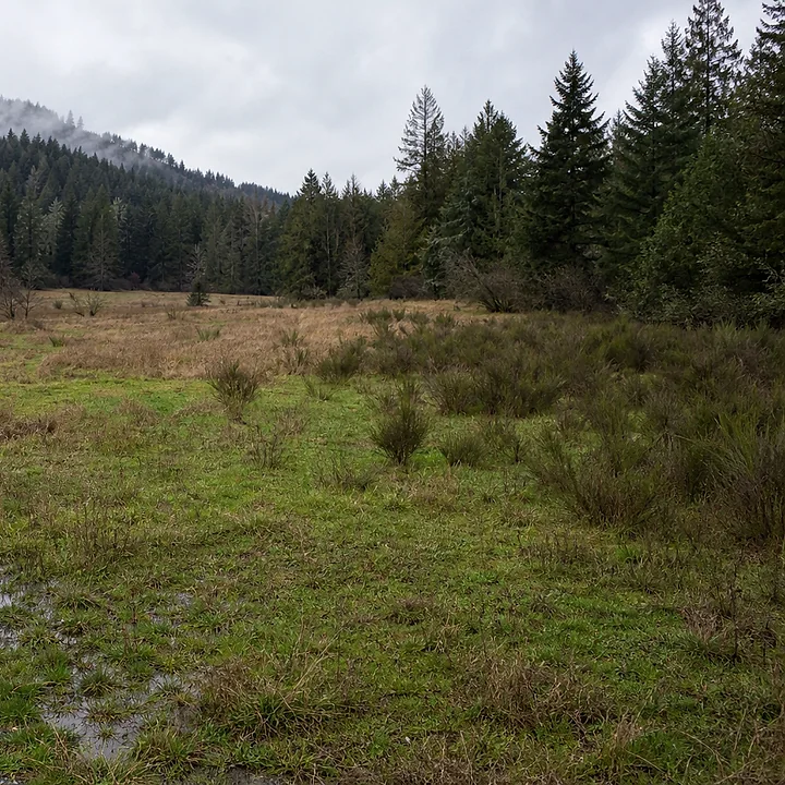 Rural acreage in Vancouver