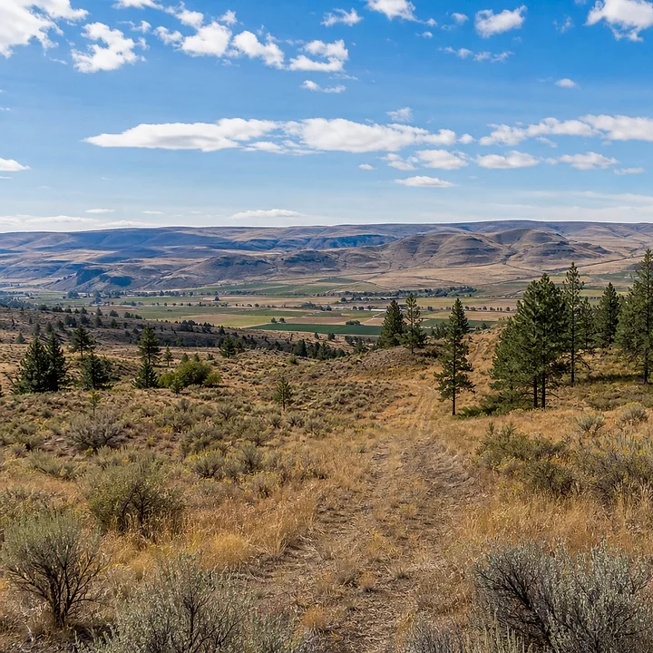 Wooded land in Benton County