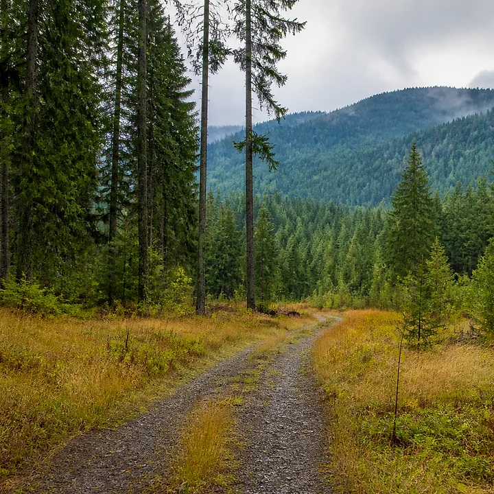 Wooded land in Vancouver