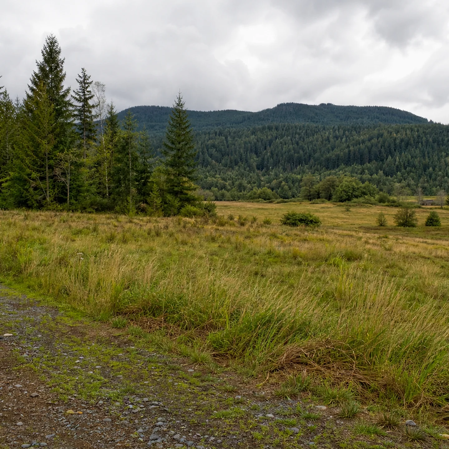 Bellingham vacant land, wooded acreage, and rural parcels in Washington