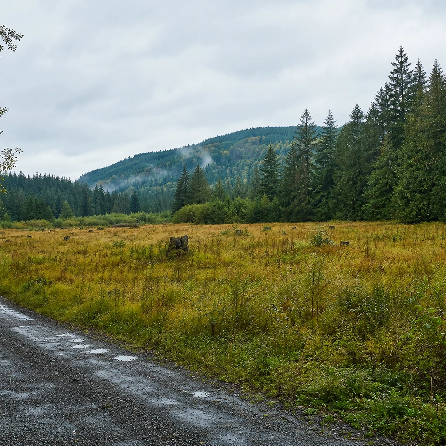 Bremerton vacant land, wooded acreage, and rural parcels in Washington