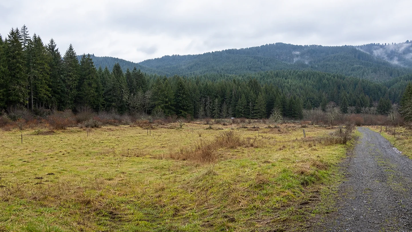 Clark County vacant land, wooded acreage, and rural parcels in Washington