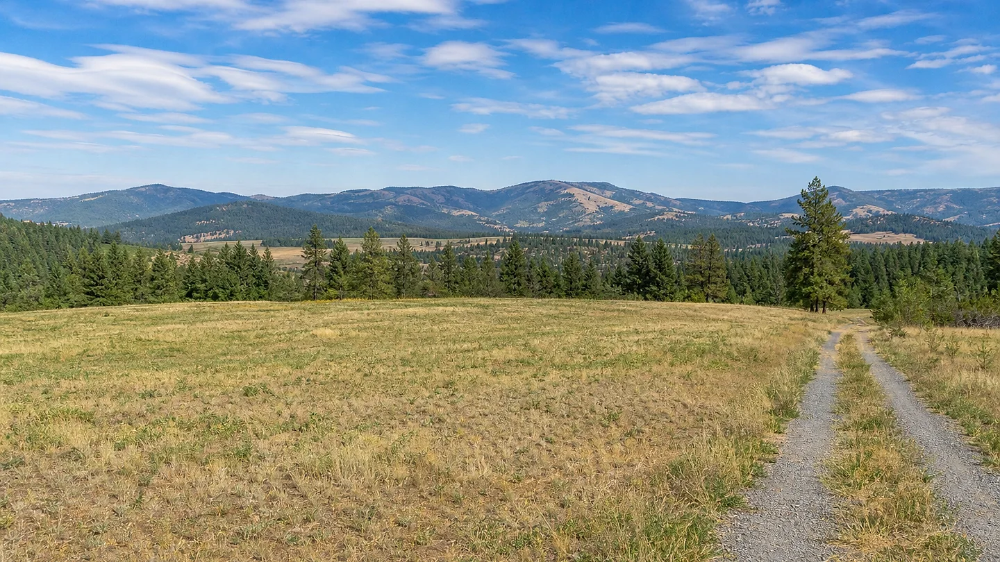 Washington vacant land, wooded acreage, and rural parcels in Washington