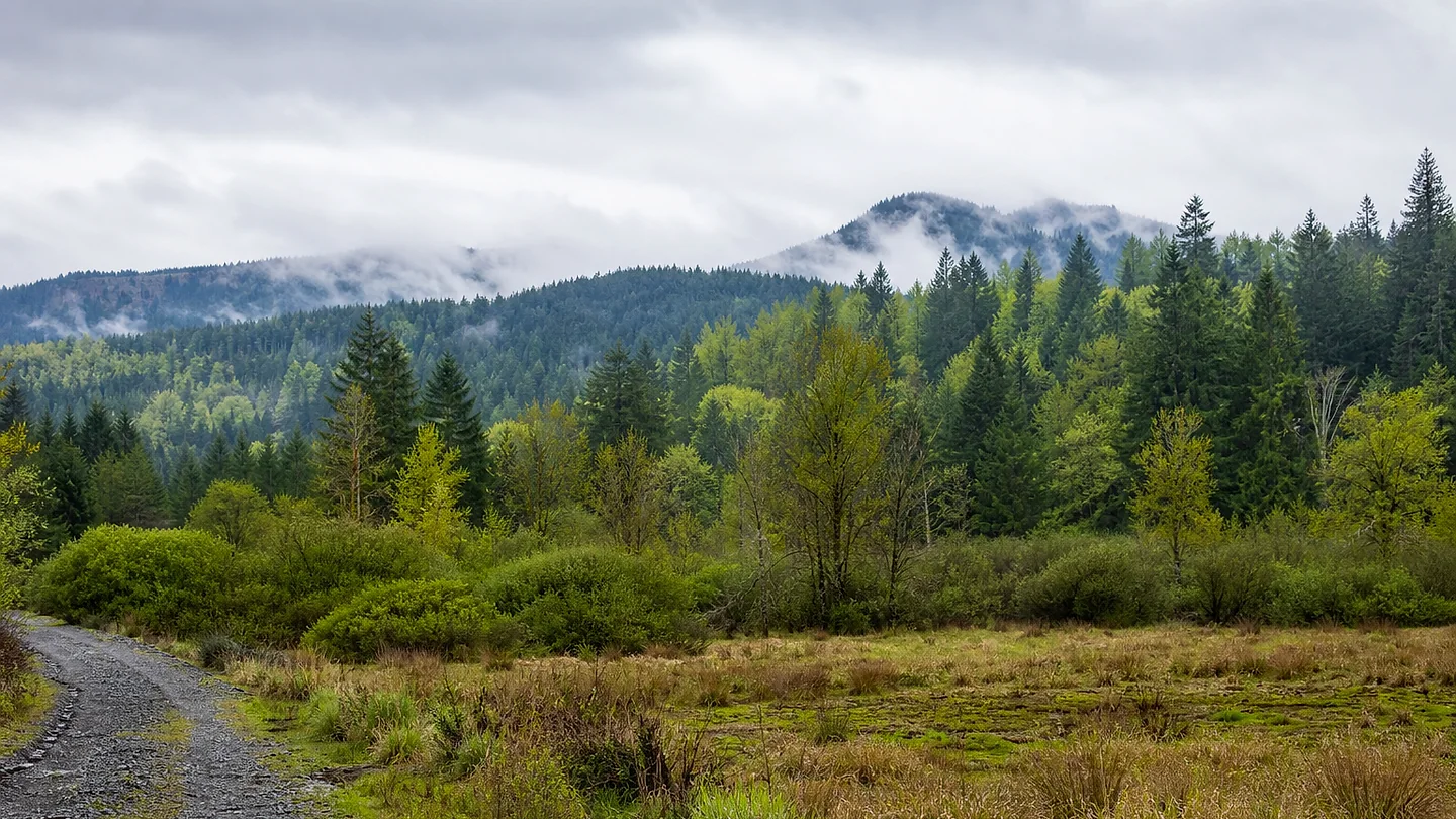 King County vacant land, wooded acreage, and rural parcels in Washington