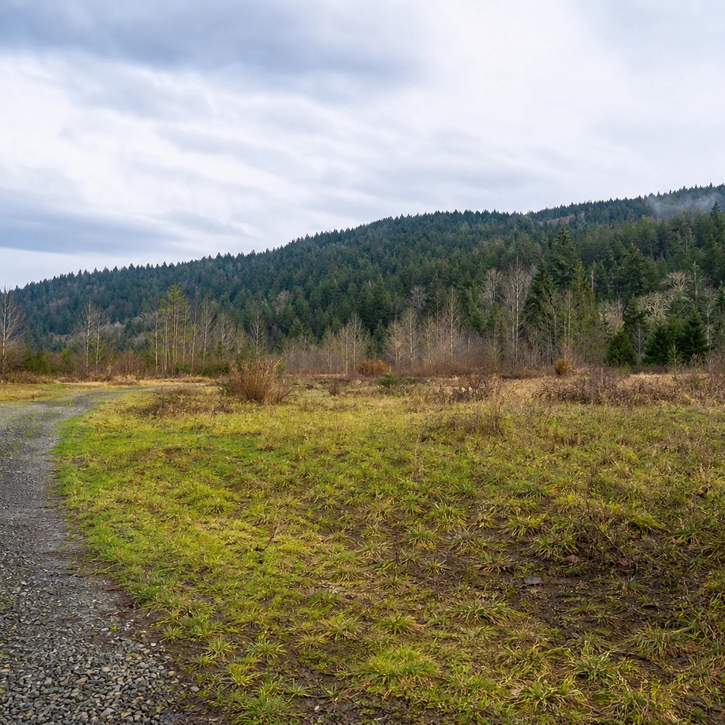 Mount Vernon vacant land, wooded acreage, and rural parcels in Washington