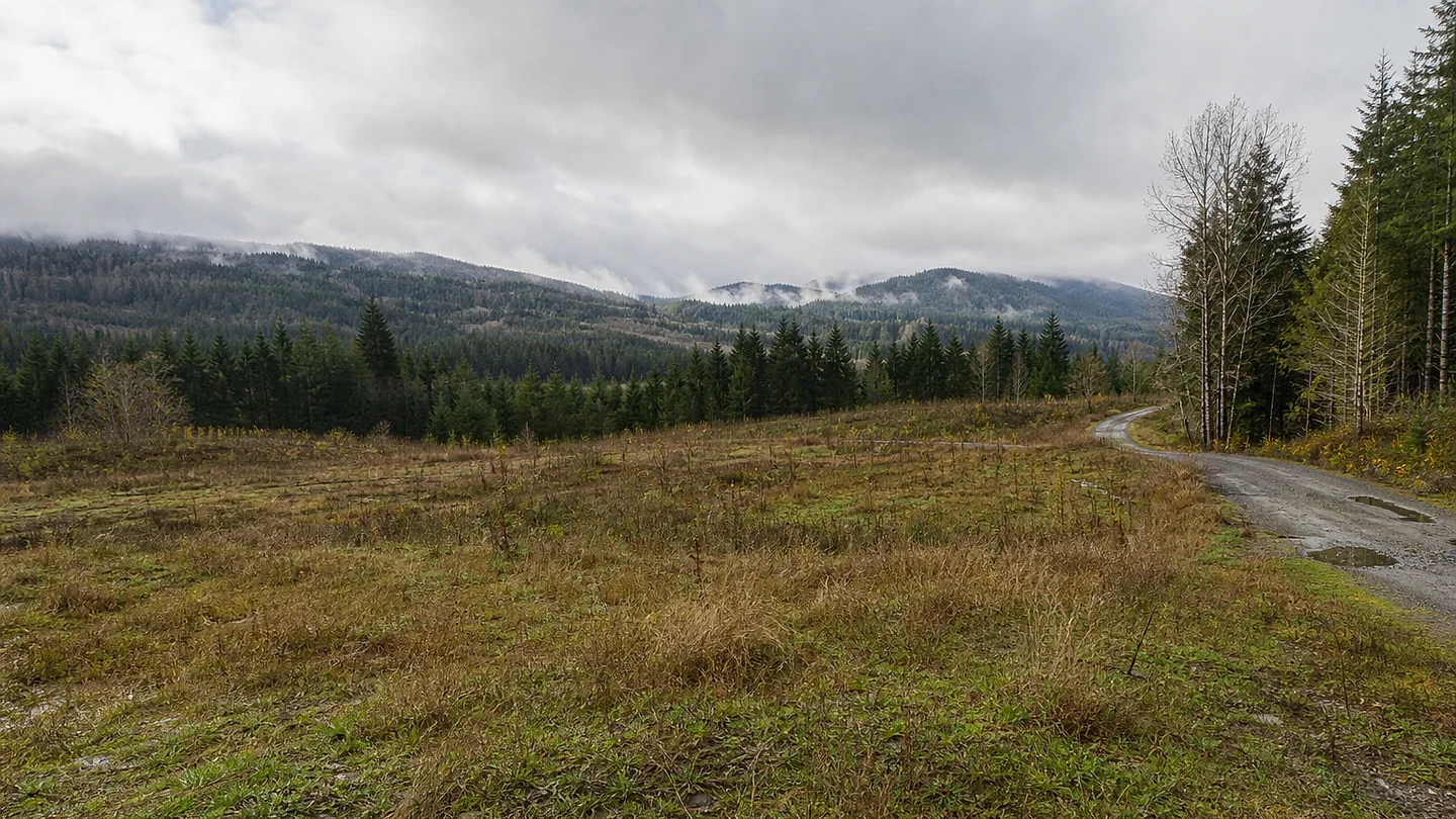 Pierce County vacant land, wooded acreage, and rural parcels in Washington