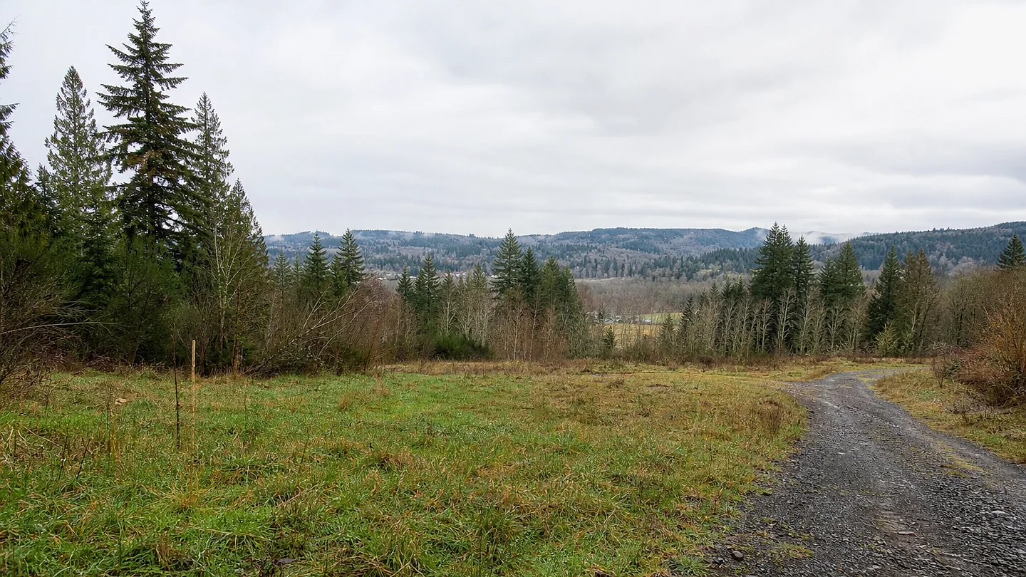 Snohomish County vacant land, wooded acreage, and rural parcels in Washington