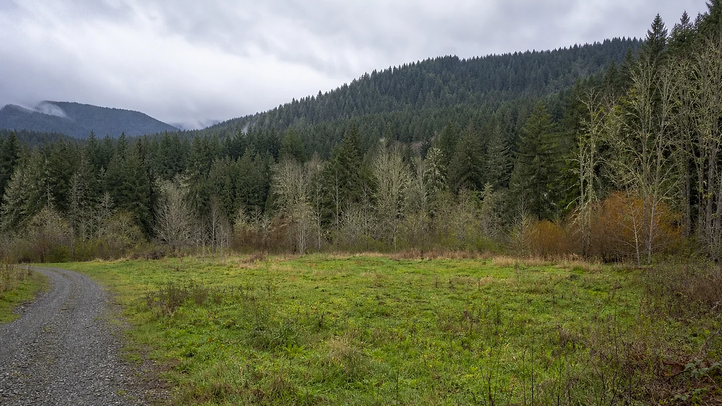 Thurston County vacant land, wooded acreage, and rural parcels in Washington