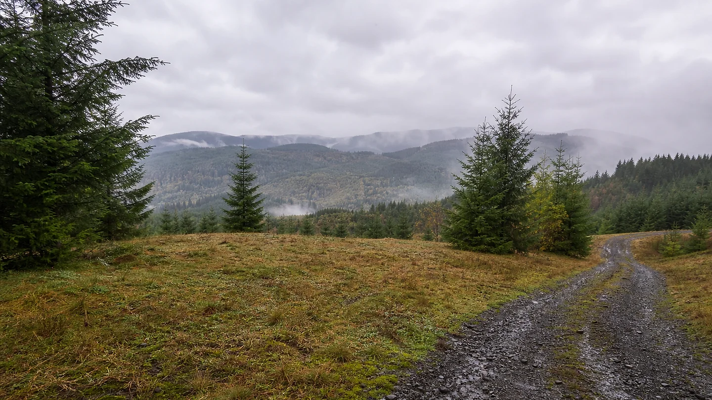 Whatcom County vacant land, wooded acreage, and rural parcels in Washington