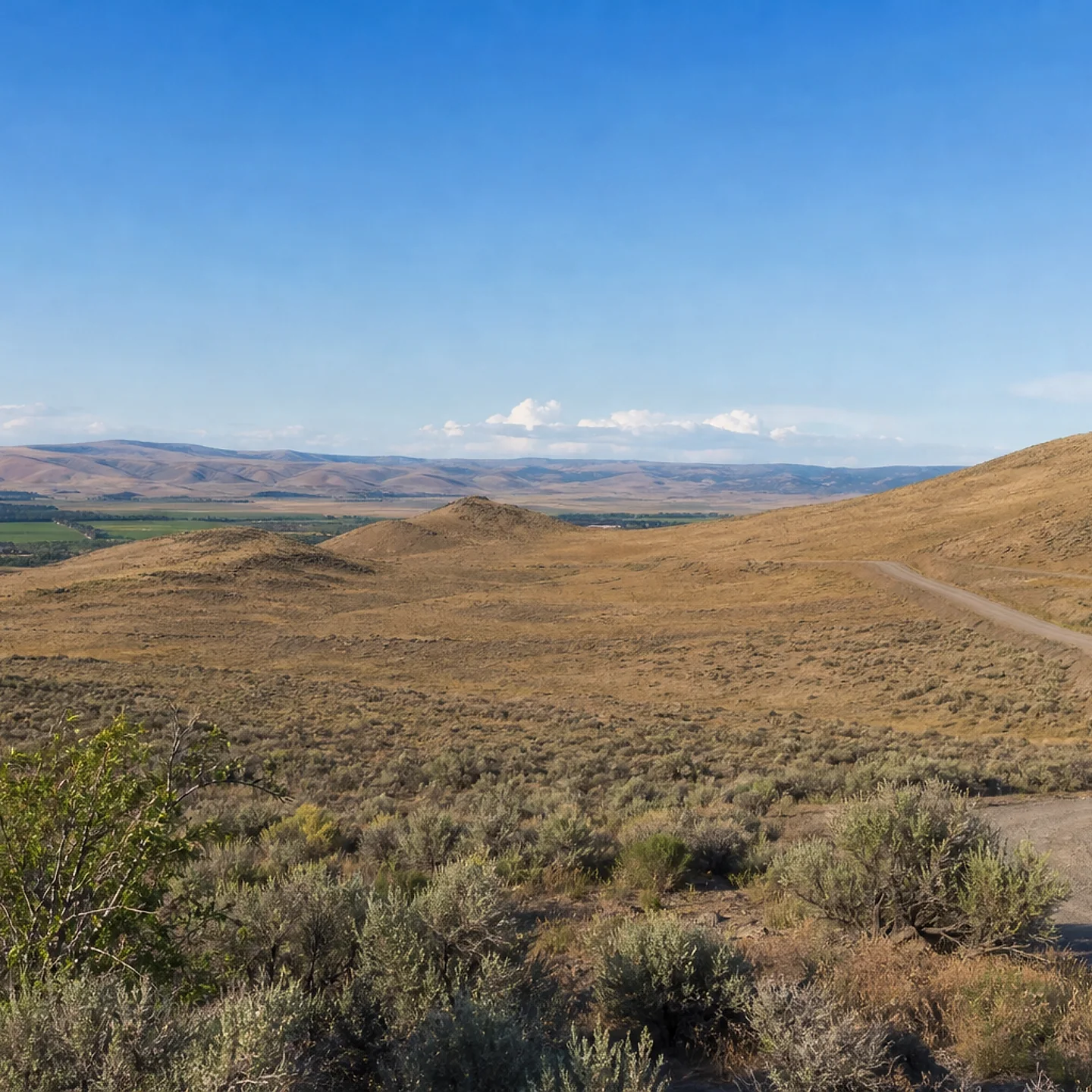 Yakima vacant land, wooded acreage, and rural parcels in Washington